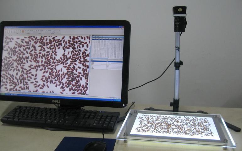 SC-G���Ԅ�(d��ng)�N�әz�y���N-�������-�x��Ӌ(j��)��(sh��)�x