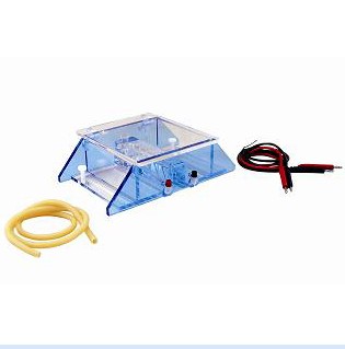 DNA�����Ӿ�x(��)DYCP-43B��