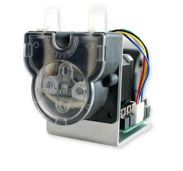 spaceman���(d��ng)��