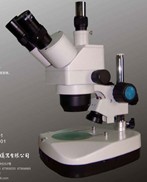 �wҕ�@΢�RXTL-3B