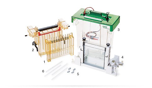 ����PROTEAN&reg; II xi 2-D�ܠ��z�Ӿ��