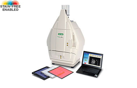 ����ChemiDoc™XRS+���`���Ȼ��W�l(f��)�����ϵ�y(t��ng)