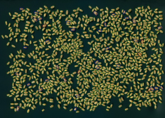 С�����^Ʒ�|(zh��)������������Ǚz�y(c��)�xSC-X��