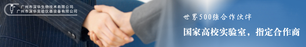 �V�������A�������